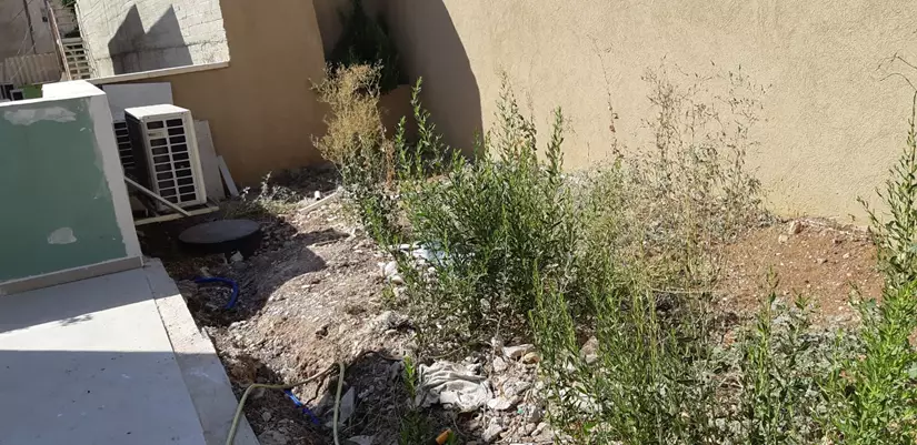 הקמת גינה לפני